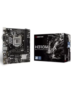 Biostar H310MHP