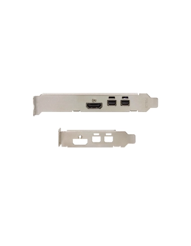 Sparkle Intel Arc A310 ECO HDMI 2xmDP 4GB