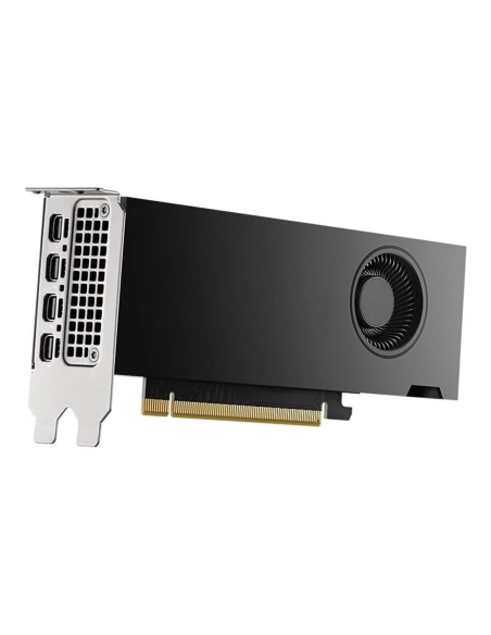 PNY NVIDIA RTX 2000 Ada Low Profile 4xmDP 16GB