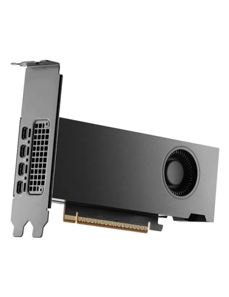 PNY RTX PRO 2000 Blackwell 16GB