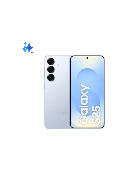 Samsung Galaxy S25 5G 12GB RAM 256GB