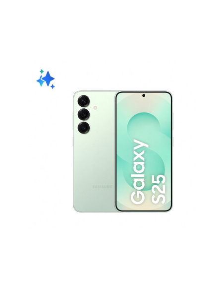 Samsung Galaxy S25 5G 12GB RAM 256GB