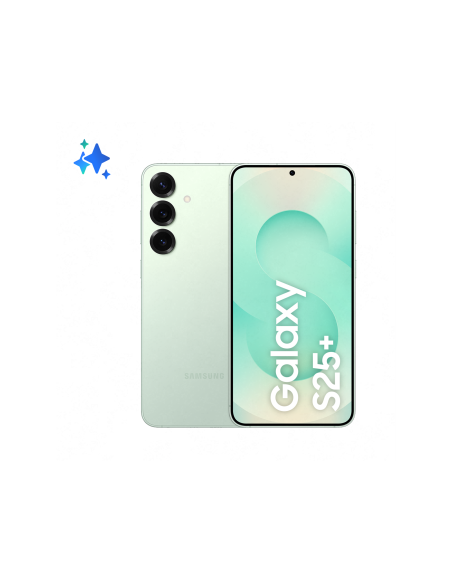 Samsung Galaxy S25 Plus 5G 12GB RAM 256GB